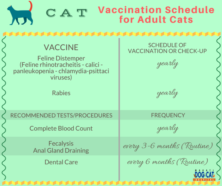 cat vaccination schedule Makati Dog and Cat Hospital