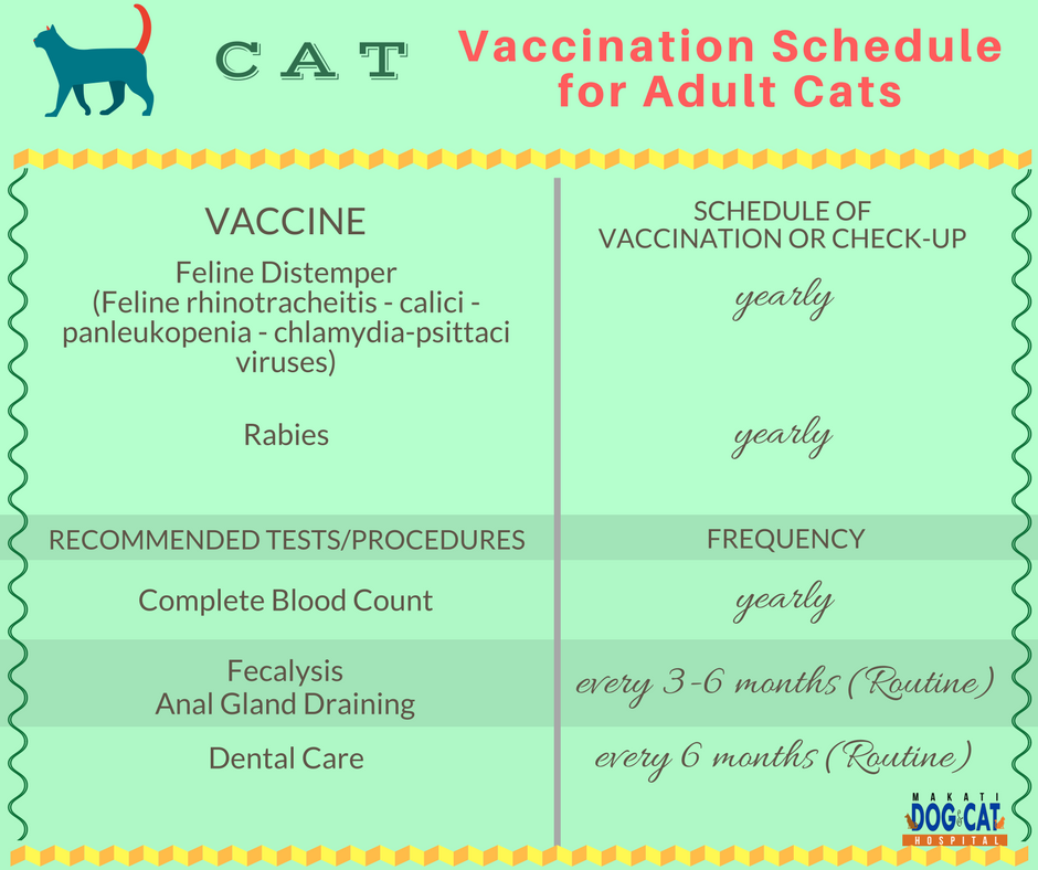 Cat Vaccination Schedule Brilliant Cat Vaccination Schedule Book
