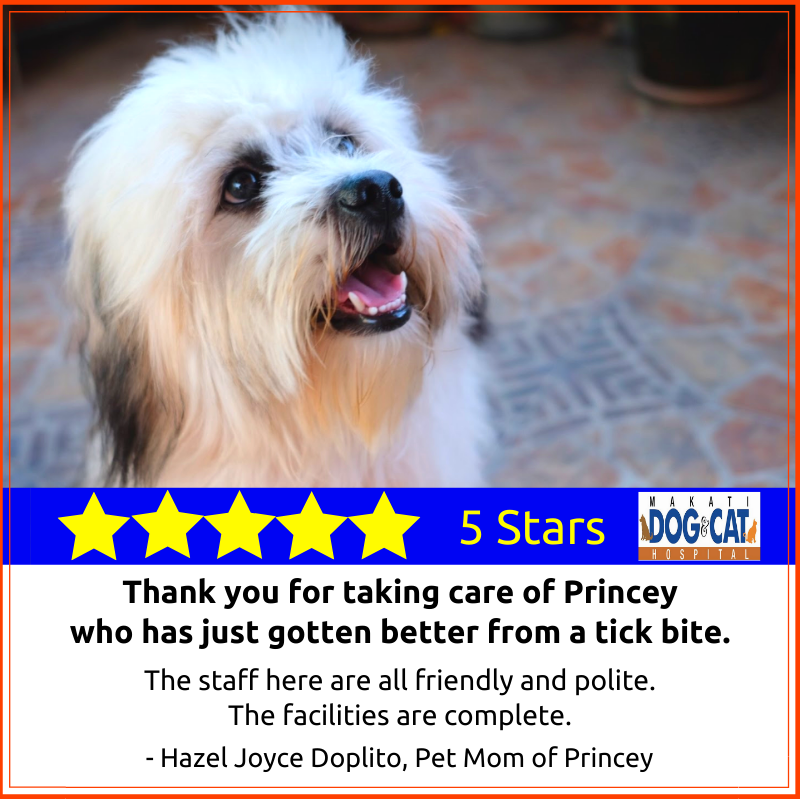 makati dog and cat hospital review