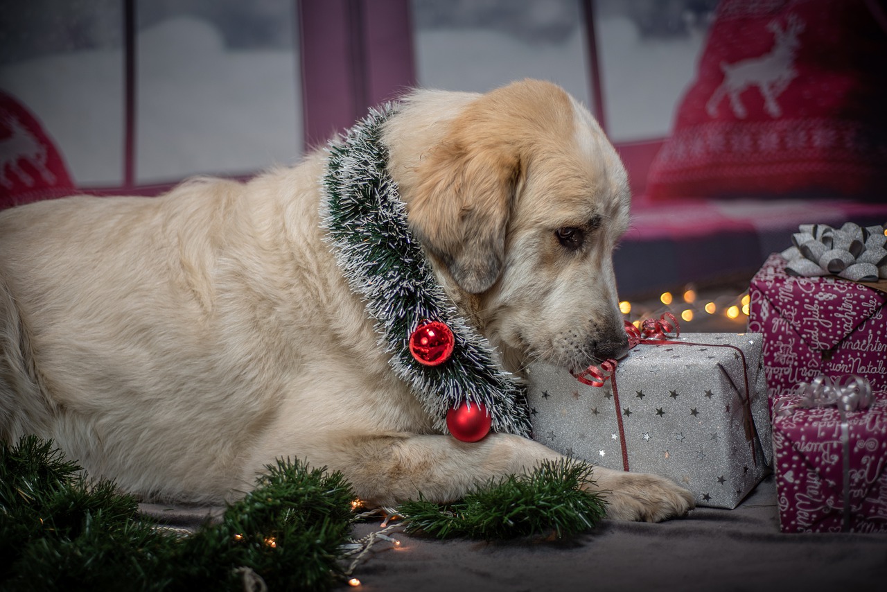 Pet Christmas Safety Tips