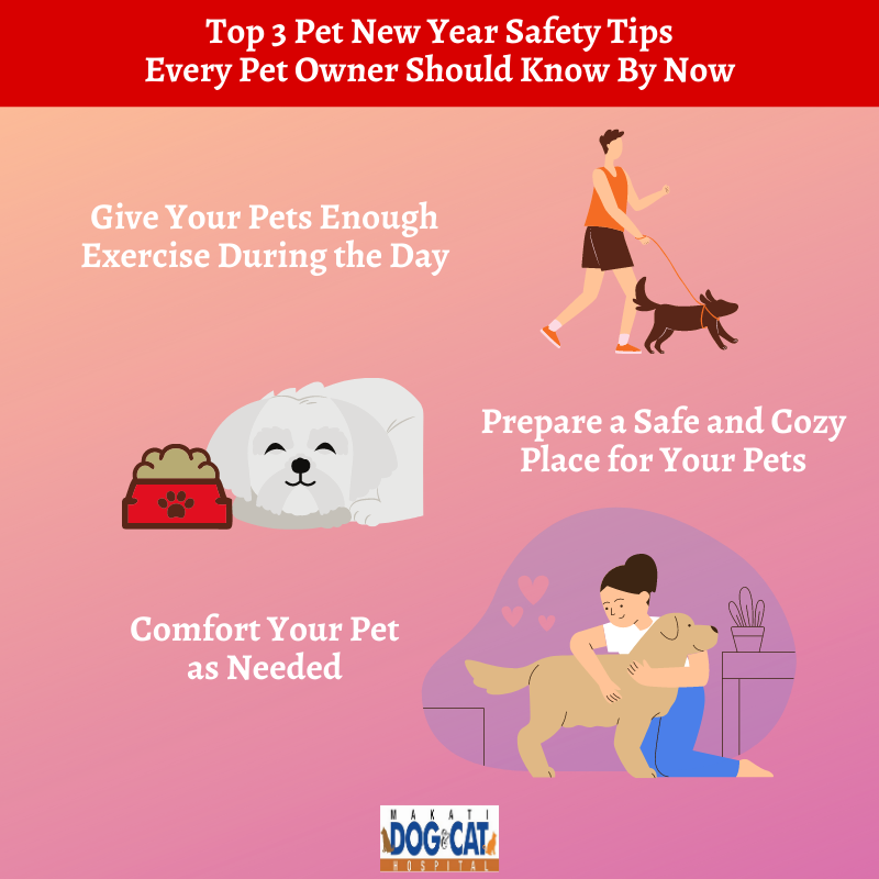 Pet New Year Safety Tips