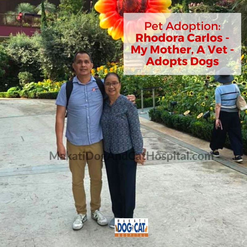 Pet Adoption