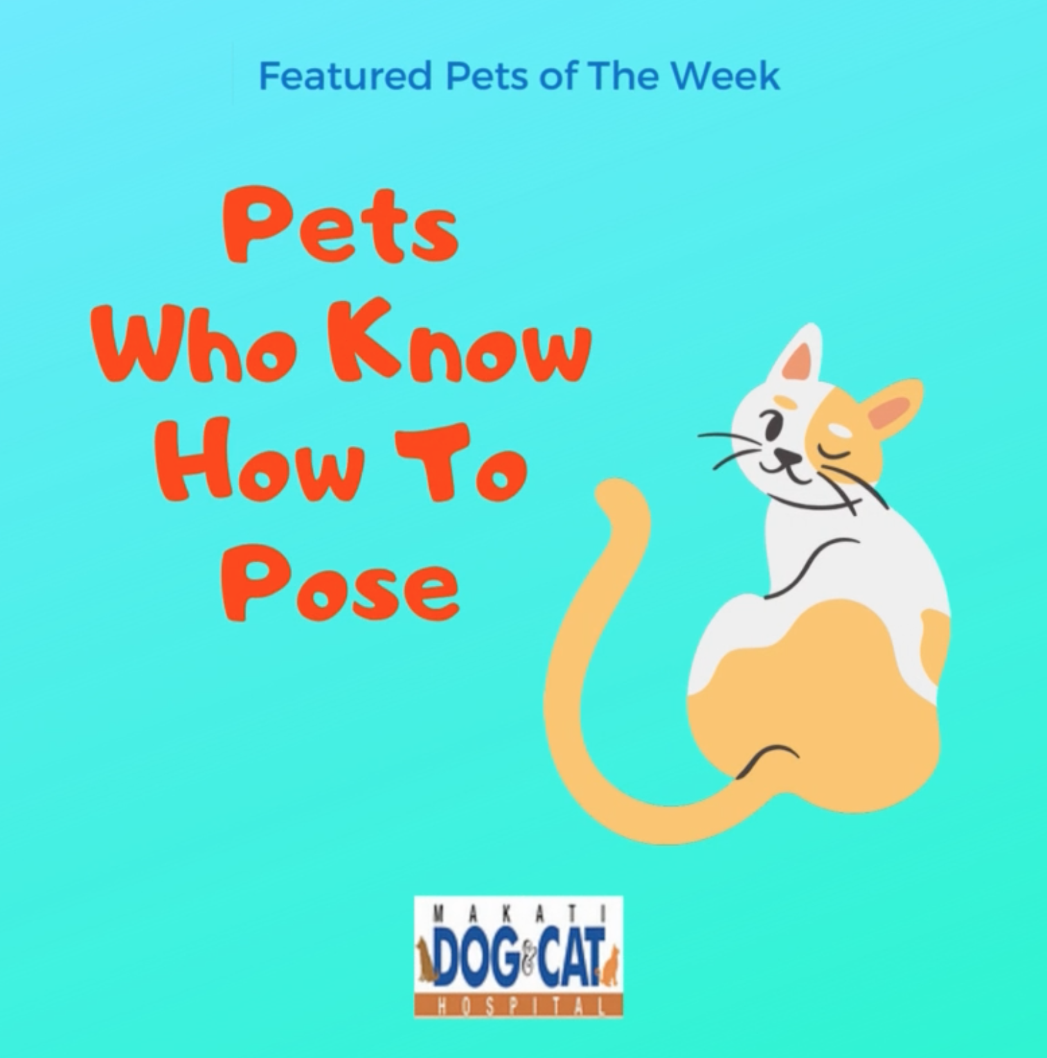 featured pets