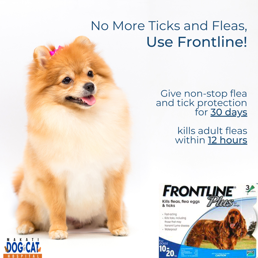 Frontline Ticks and Fleas