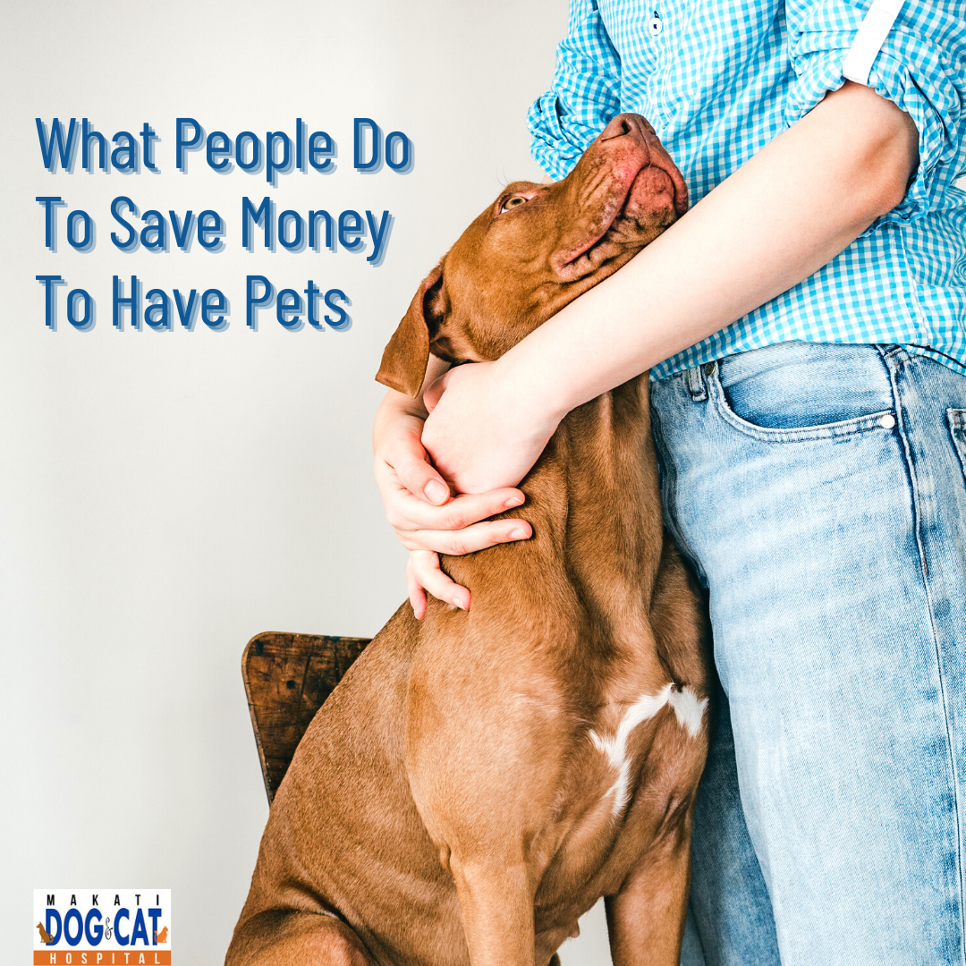 Save Money Pet Adoption