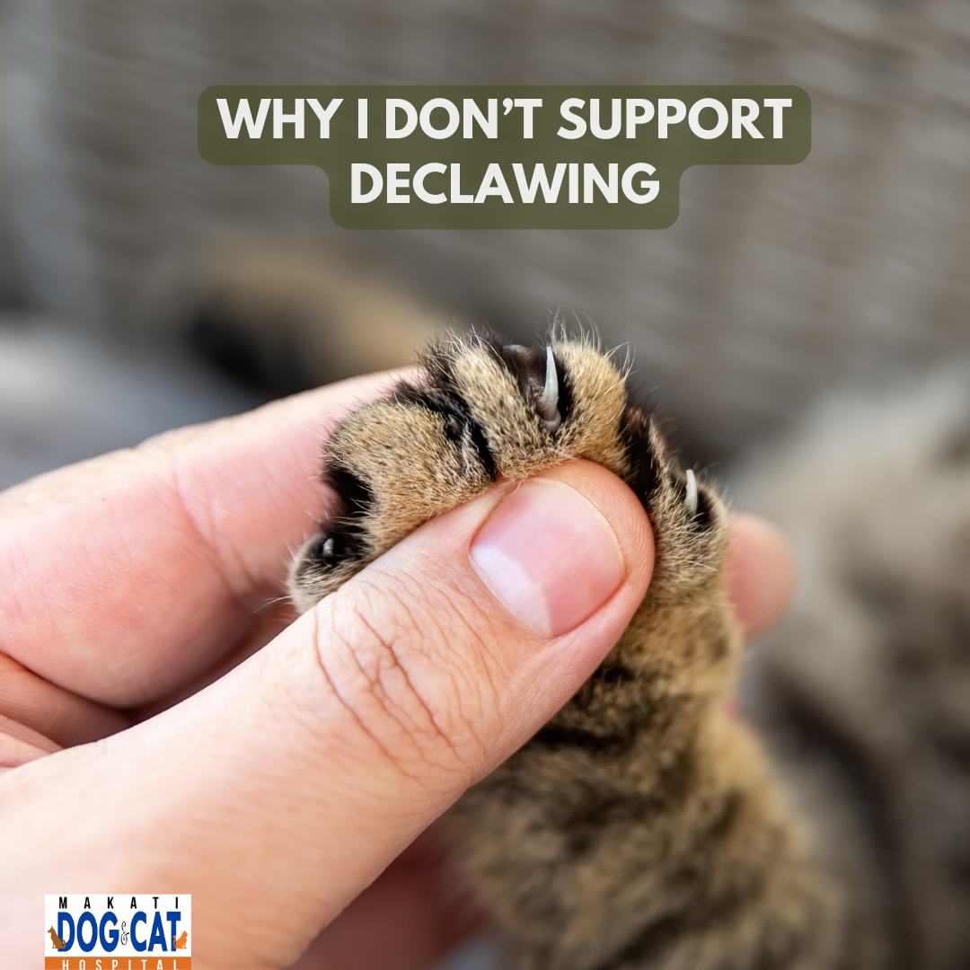 Pet Declawing