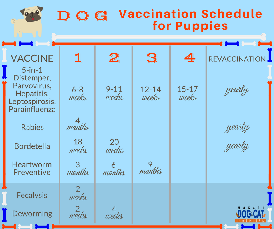 printable-dog-vaccination-chart-instant-download-pdf-snazzy-printables
